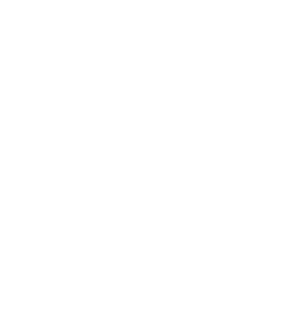 Bsg.png