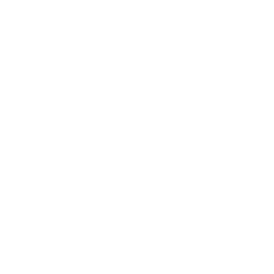 logo-datalawhiteyers-white